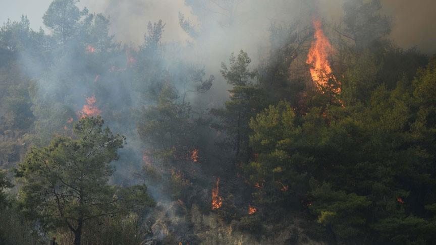 كاليفورنيا استمرار محاولات السيطرة على حريق غابات منذ 10 أيام