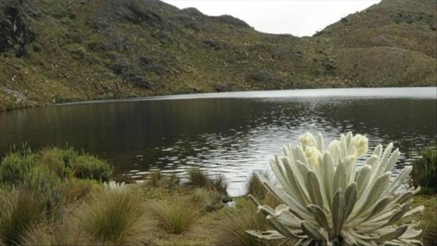 En Colombia dos páramos quedarán protegidos a perpetuidad
