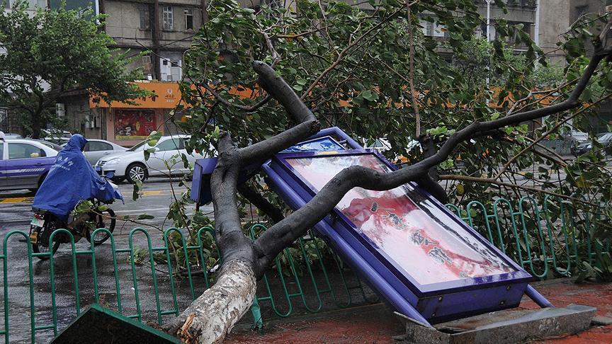 Thousands evacuated as Typhoon Jongdari hits Shanghai