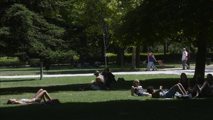 Ola de calor aumenta riesgo de incendios en España