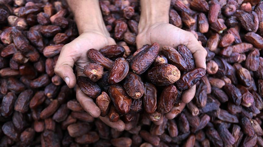 Exportation de dattes: La Tunisie vise 370 millions de dollars pour 2020
