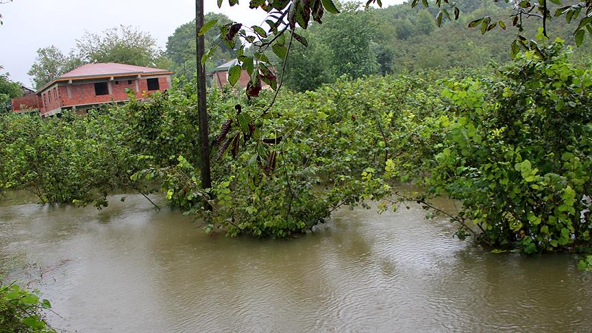 Tarım ve Orman Bakanı Pakdemirli: Afetten etkilenen çiftçinin kredi borcu ertelenecek 