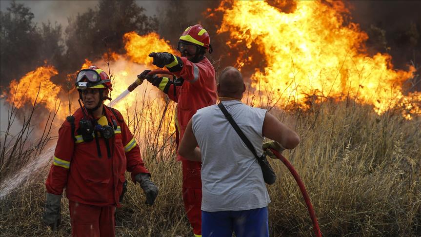 Número de muertos por los incendios forestales en Grecia asciende a 93