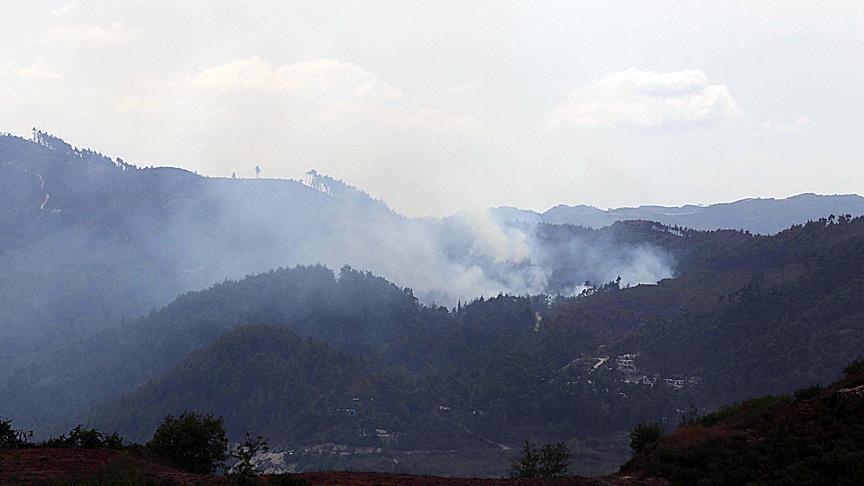 Assad regime begins strikes on Syria's Turkmen Mountain