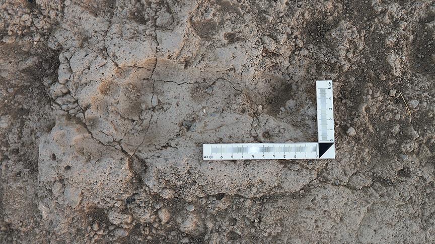 Ancient human footprint found in SE Turkey
