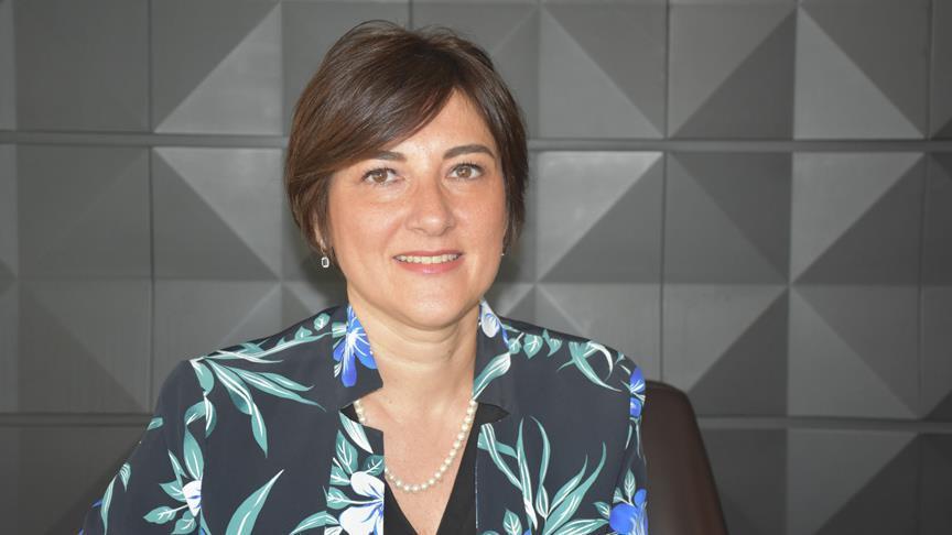 Erdogan's 2017 visit to Mozambique turning point: envoy