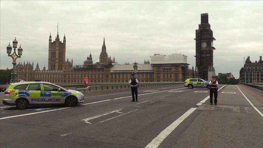 UK: Westminster car crash driver charged 