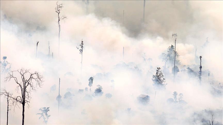 ¿Cómo el clima y la actividad humana alimentan incendios forestales?