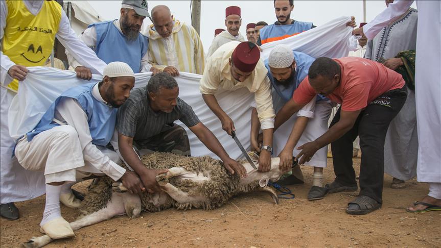 ONG de Turquía dona carne durante festividad musulmana Eid Al-Adha