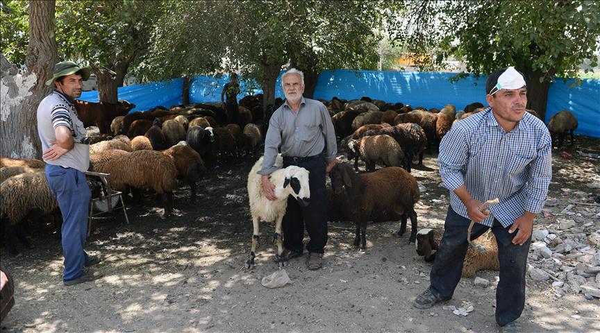 Tres millones de familias rurales en Irán carecen de seguridad social