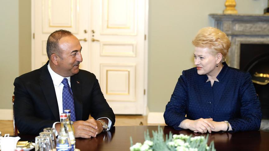 Dışişleri Bakanı Çavuşoğlu Litvanya'da