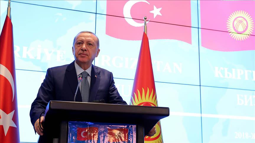 Эрдоган призвал положить конец доминированию доллара 