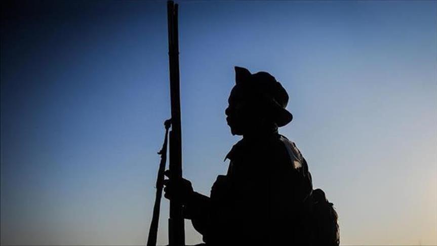 Cameroun: La vente d'armes de chasse partiellement rétablie