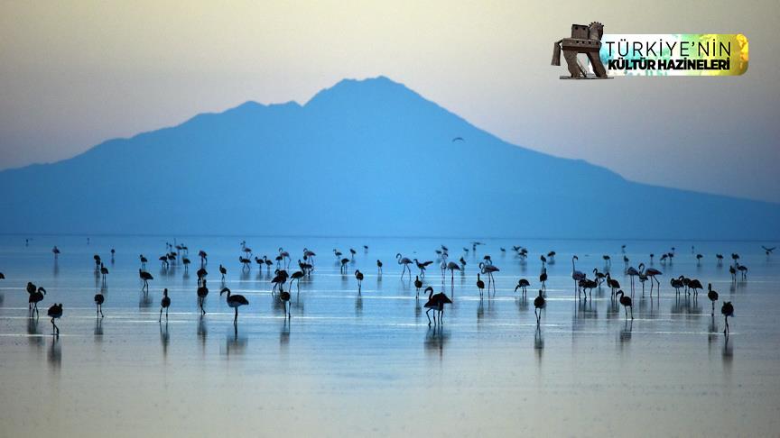 Bozkırın ortasındaki 'kuş cenneti' Tuz Gölü