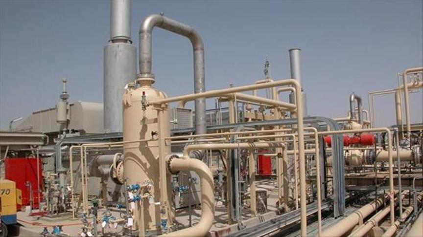 مصر تستهدف خفض شحنات الغاز المستوردة 77.3 بالمائة (وزير)