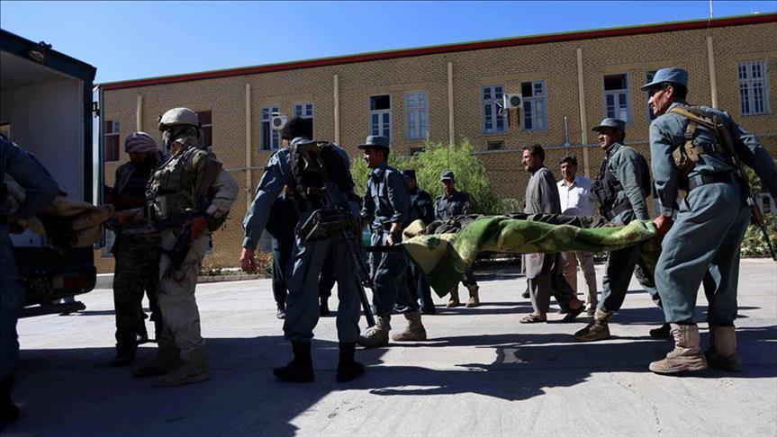 Afghanistan: Taliban kill over 50 security personnel