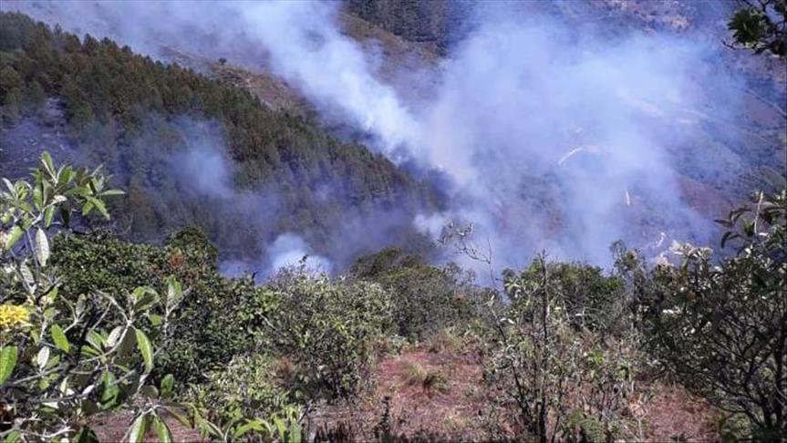Ecuador ha perdido más de mil hectáreas de páramos por incendios