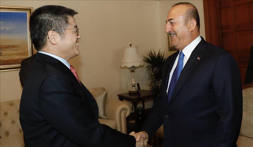 Turkish FM meets Chinese envoy, Iraqi Turkmen leader
