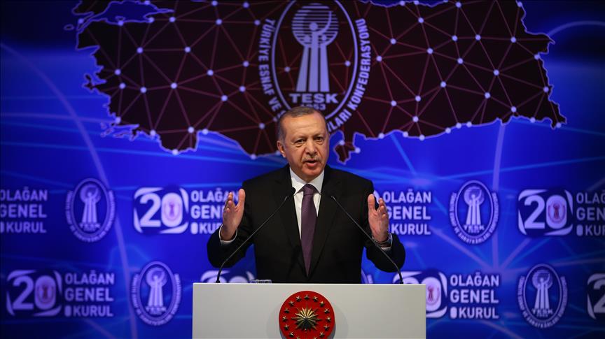 Erdogan: 'Further action' against currency fluctuation