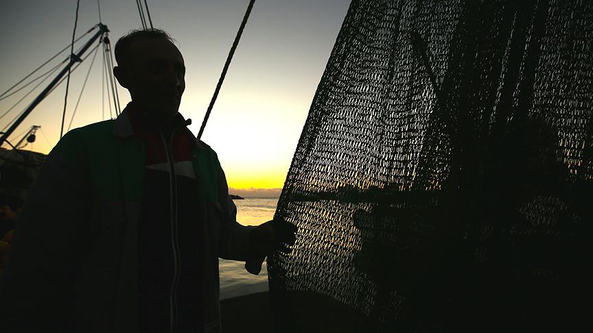 Karadenizli balıkçıların ağları istavritle doldu