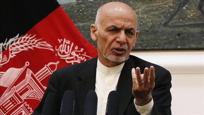 'Afghans fighting in 3rd country committing crime'