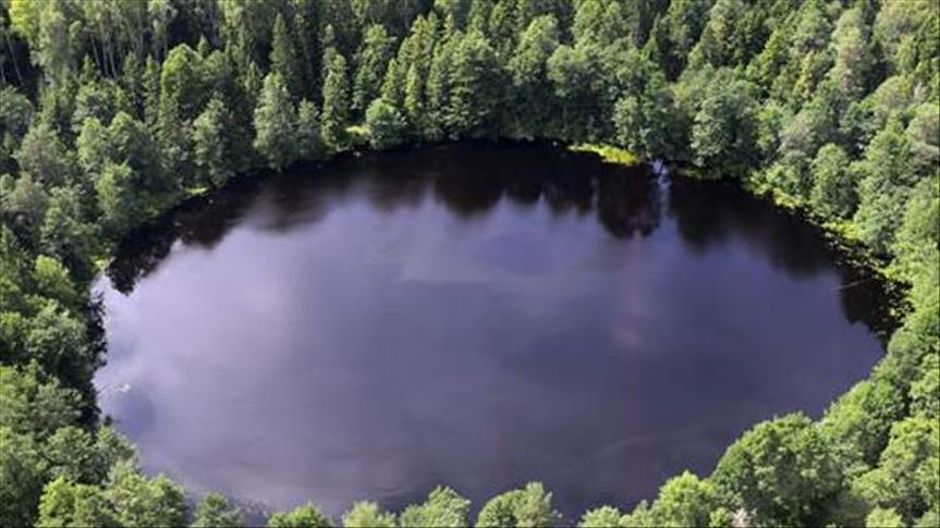 В Беларуси продвигают экологический туризм 