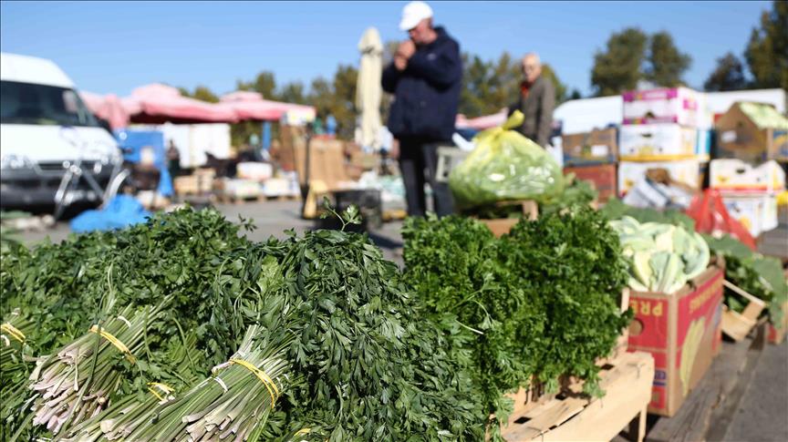 Koliko povrća uzgaja, a koliko uvozi Srbija