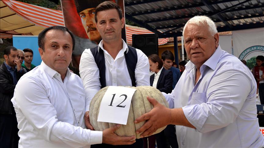 10 kilogramlık kabak için 12 bin lira ödedi