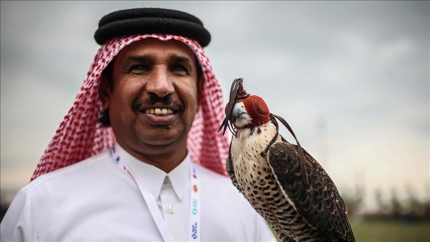 Pakistan allows UAE to export 150 falcons despite ban