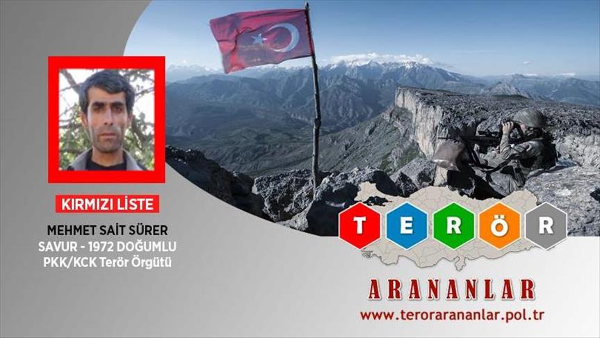 Wanted PKK terrorist ‘neutralized’ in southeast Turkey