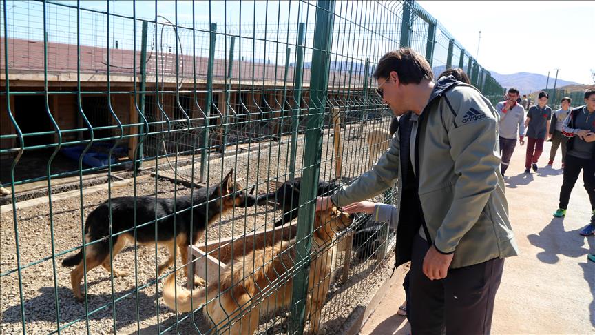 Sivassporlu Futbolcular Hayvan Barinagini Gezdi Sivassporlu Futbolcular Hayvan Barinagini Gezdi