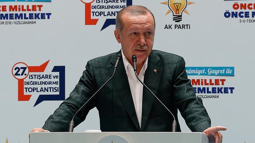 Erdogan: Turkey tackles difficulties with own solutions