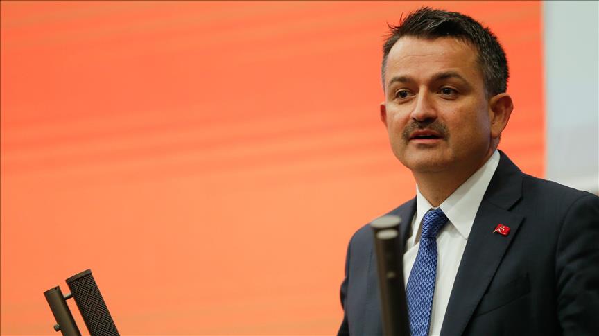Bakan Pakdemirli'den Rusya'dan kırmızı et ithalatı yanıtı