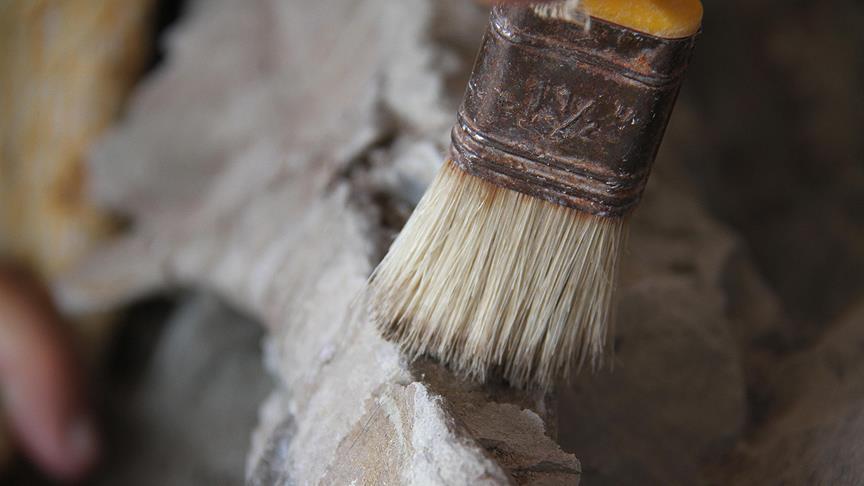 Fosil telur dinosaurus berusia 80 juta tahun ditemukan di China 