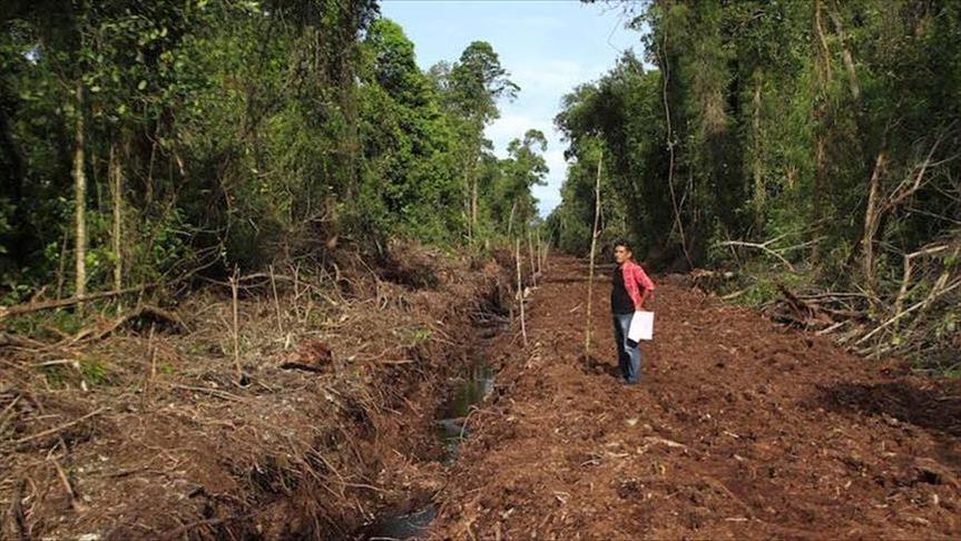 Indonesia gunakan pembiayaan Green Sukuk untuk pelestarian lingkungan