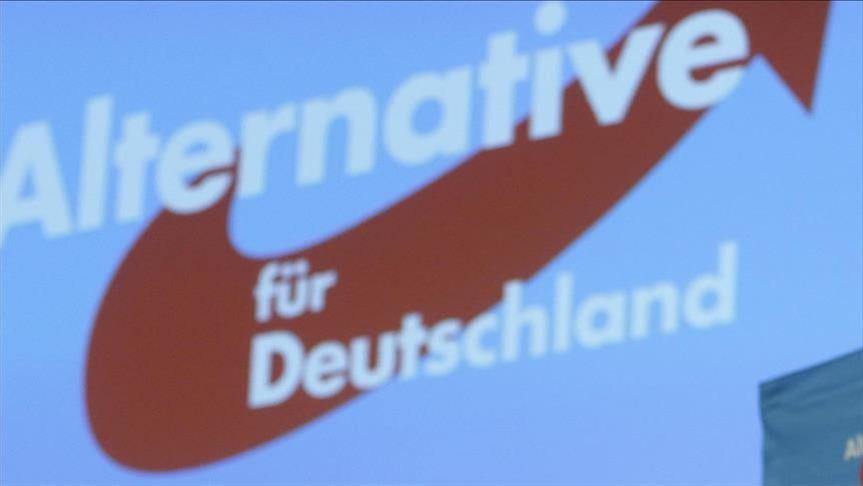 Legisladores alemanes critican al Partido AfD por moción antiislámica
