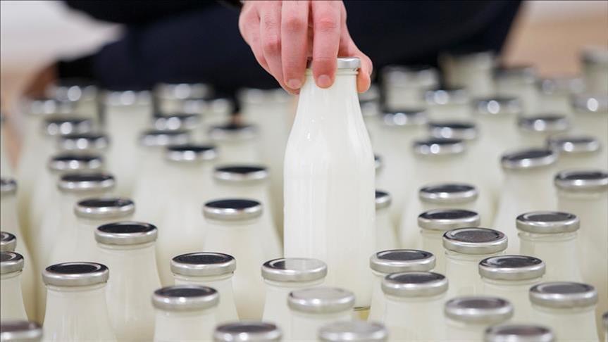 Turkey's milk production up 11.3 pct in August