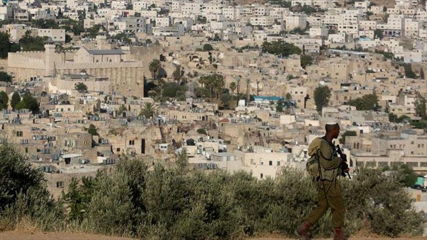 Israeli settlers destroy olive groves near Nablus