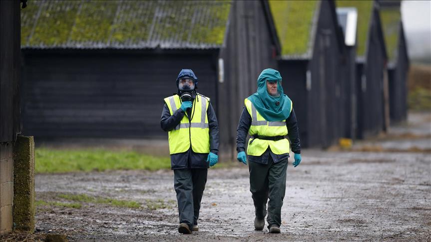 Escocia confirma caso de la enfermedad de las vacas locas en Aberdeen