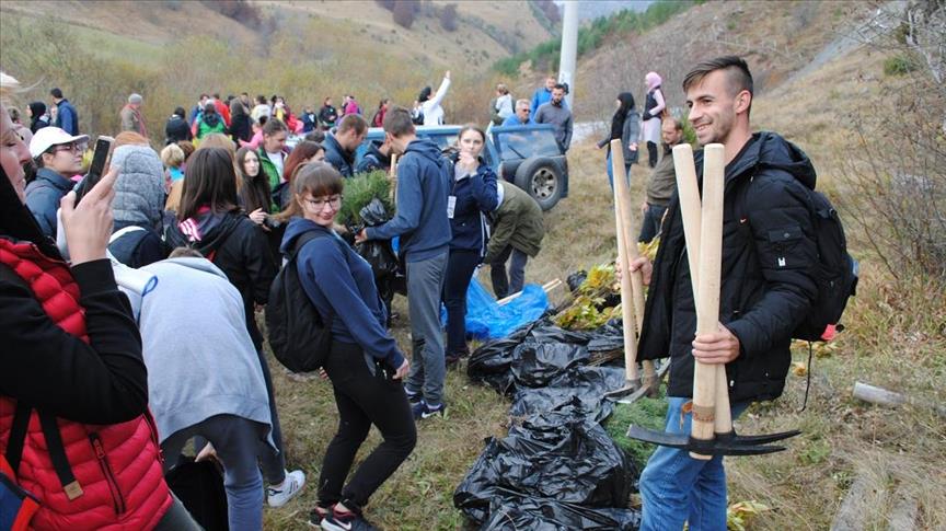Volonteri širom BiH zasadili desetine hiljada sadnica