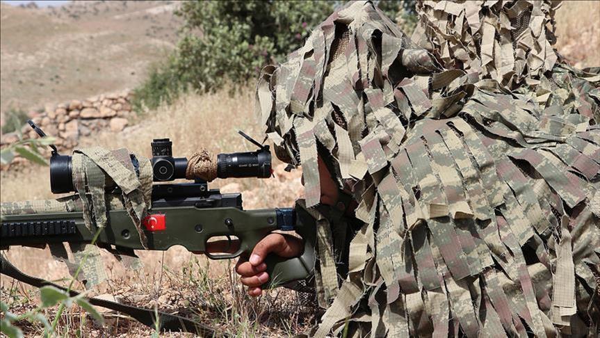 Turquie : Deux terroristes du PKK neutralisés dans le Sud-est 