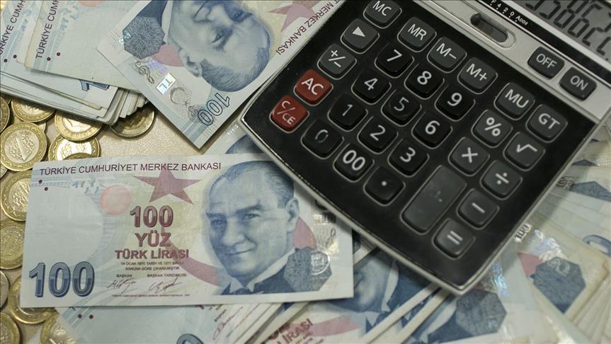 Düzenleyici ve denetleyici kurumlara 6,5 milyar liralık bütçe