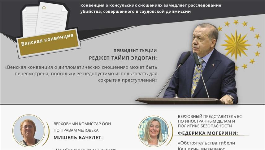 ИНФОГРАФИКА - Убийство Кашикчы вызвало споры о Венской конвенции
