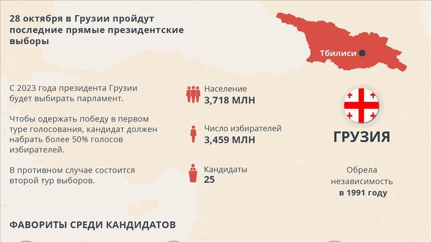 ИНФОГРАФИКА - В Грузии на пост президента претендуют 25 кандидатов