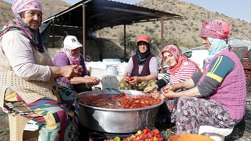 Domates tozuyla hayallerini gerçekleştirecek