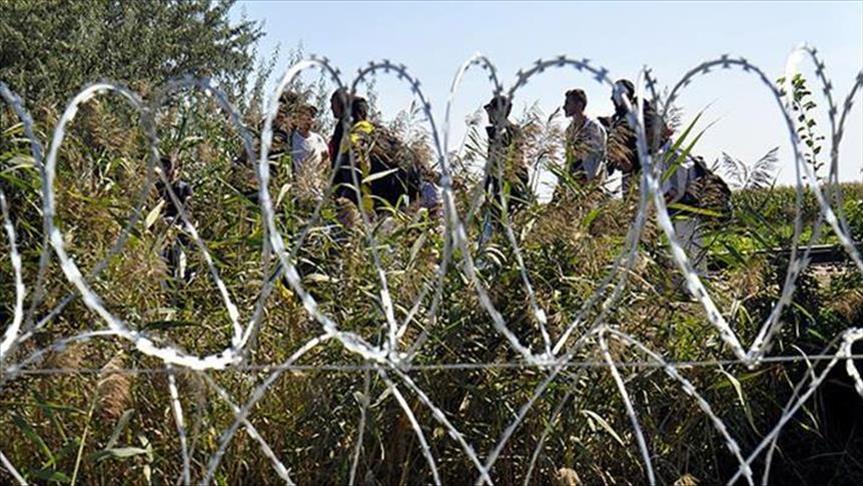 Tribunal húngaro absolvió a periodista que pateó refugiados