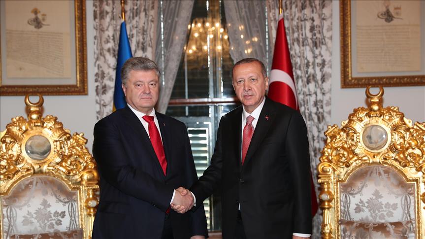 В Стамбуле состоялась встреча президентов Турции и Украины  