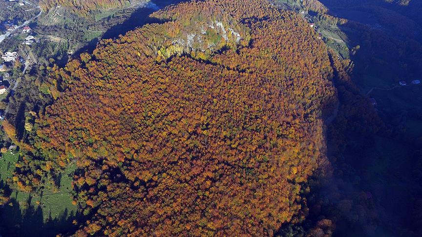 Nebiyan Dağı'nda sonbahar