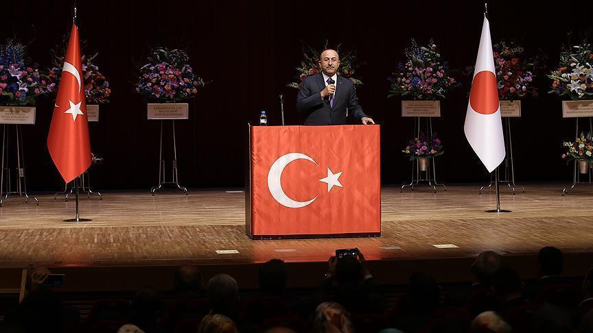 Cavusoglu : 2019, année de la culture turque au Japon