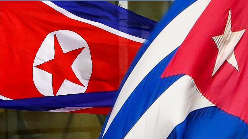 North Korean, Cuban presidents meet in Pyongyang